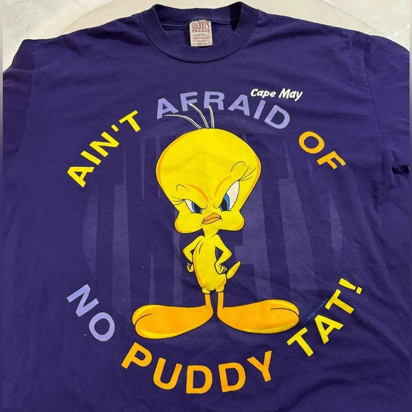 Sherry’s Best Tops - 1998 Tweety Bird Looney Tunes Vintage Short Sleeve Purple T-Shirt XL Oversized